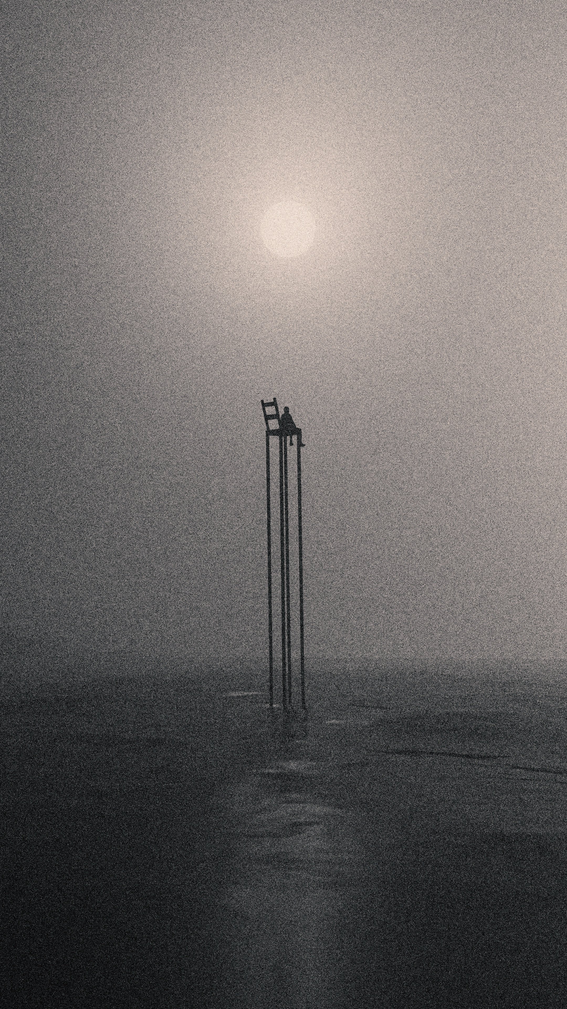 Paris Photo representation by Merve Sağyatanlar for Trilitech, 2024